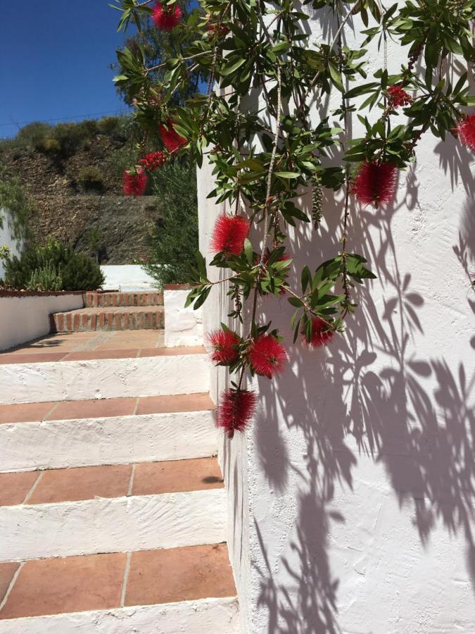 B&B And Apartments Cortijo La Zapatera Canillas de Aceituno Exterior photo