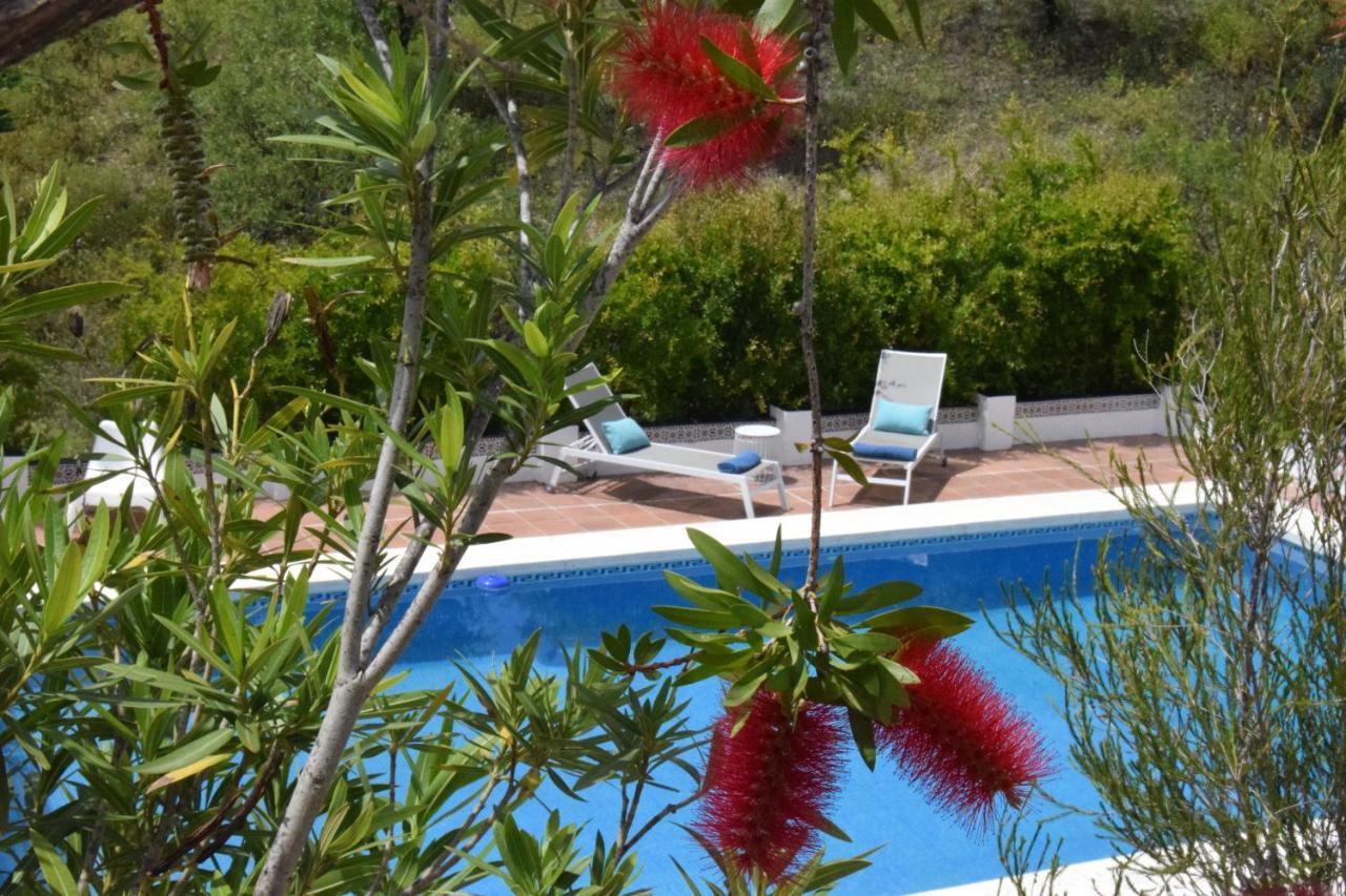 B&B And Apartments Cortijo La Zapatera Canillas de Aceituno Exterior photo