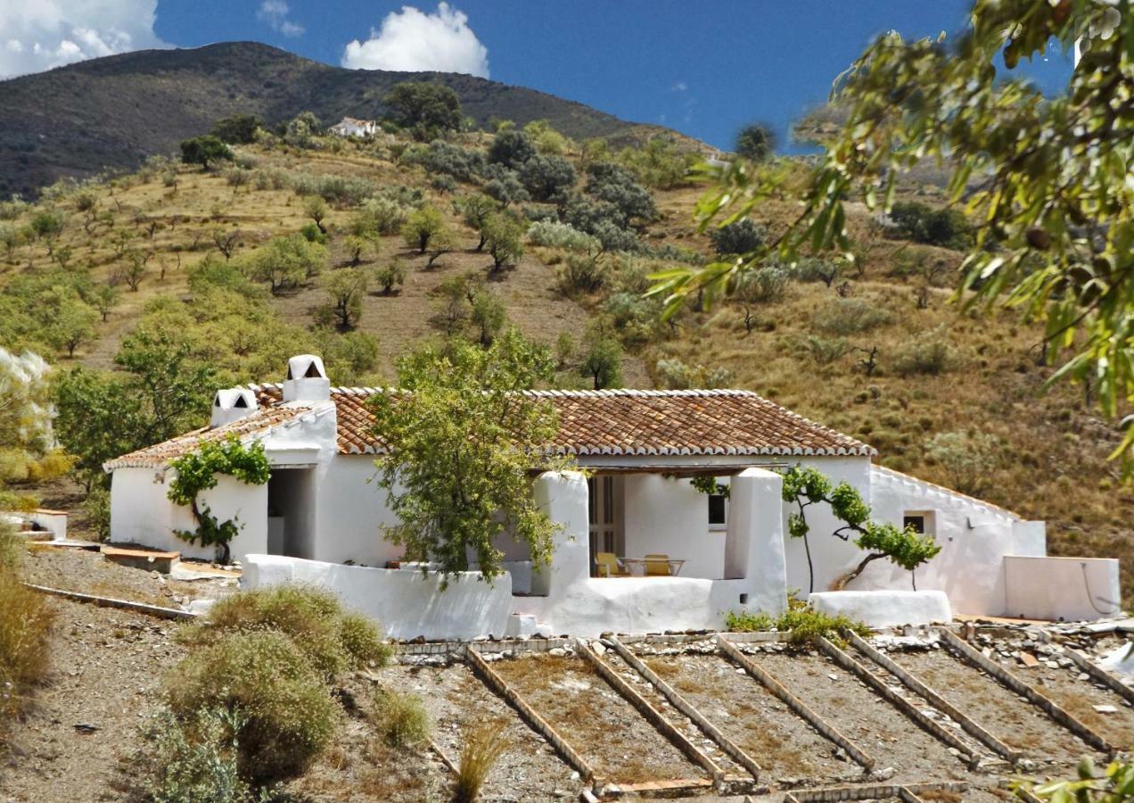B&B And Apartments Cortijo La Zapatera Canillas de Aceituno Exterior photo